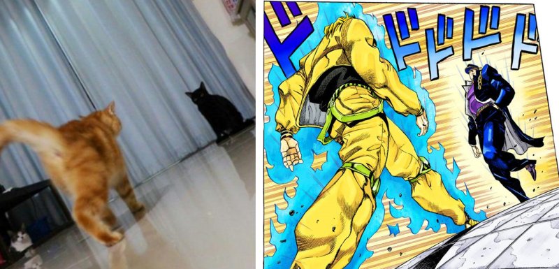 Дио и Джотаро Противостояние