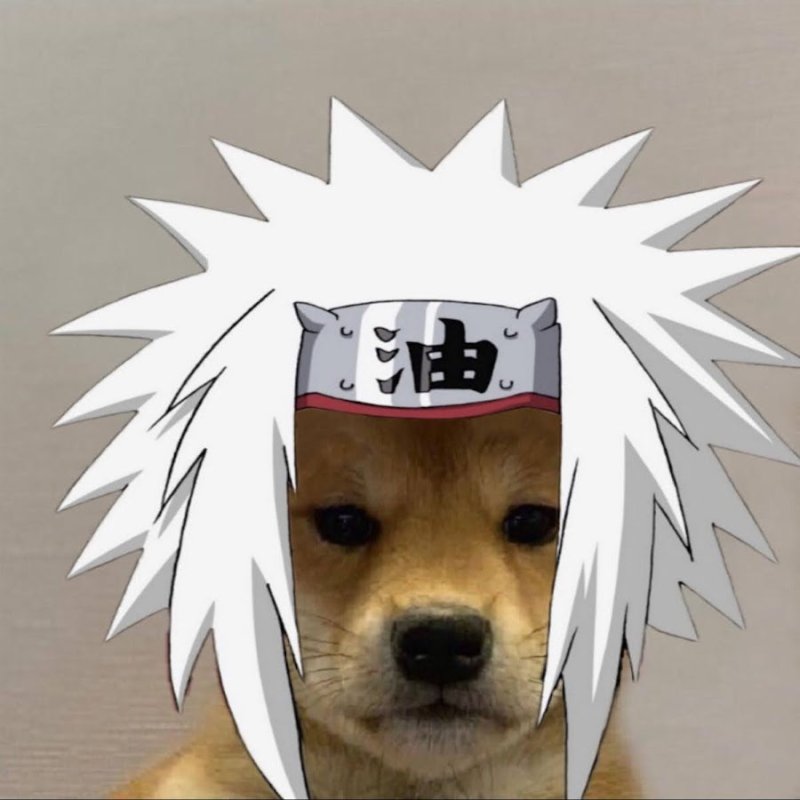 Собаки Какаси Хатакэ