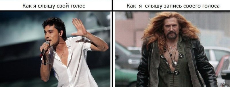 Смешные мемы про голос