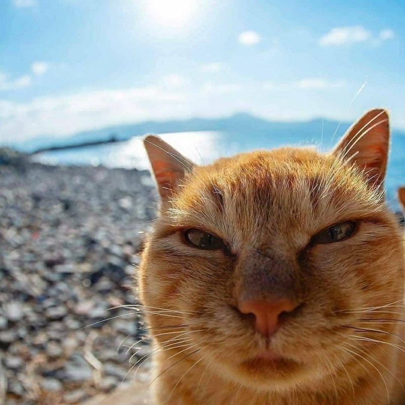 Прищуренные глаза