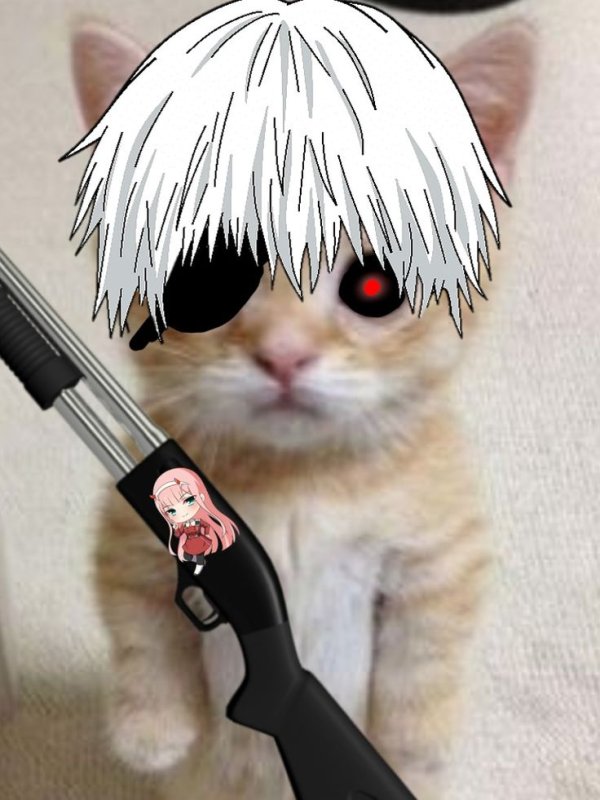 Кот гуль Мем