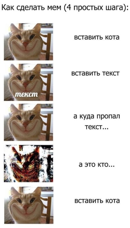 Кот Мем