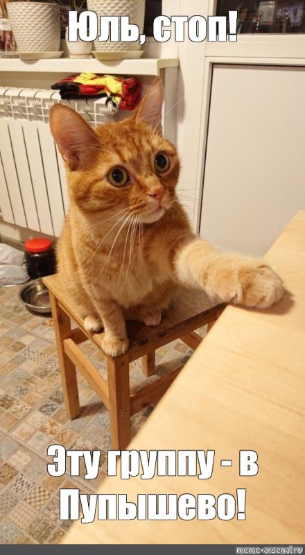 Рыжий котенок Мем