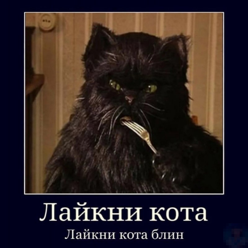 Литературные мемы мастер и Маргарита