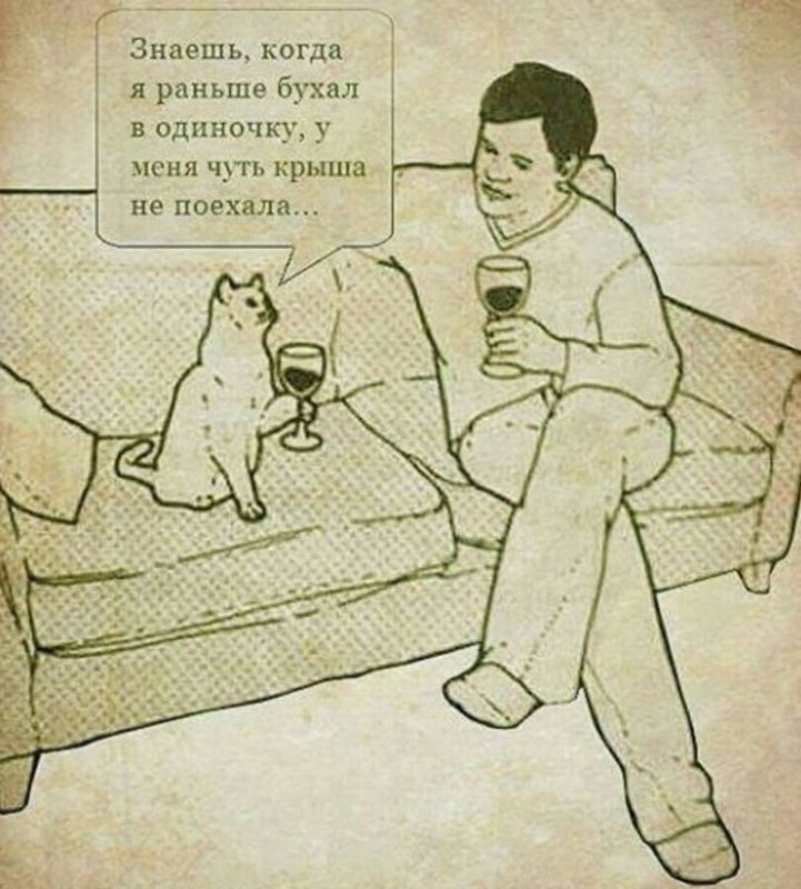 Забухать с котом