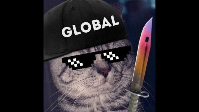 Кот с ножом из КС