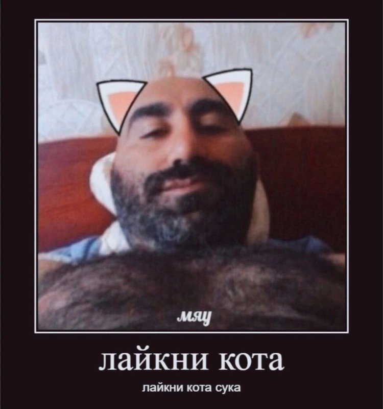 Лайкни кота