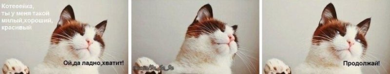 Ой да прекрати продолжай