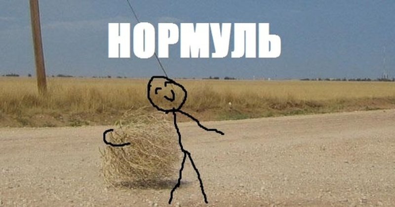 Мемы про пустыню