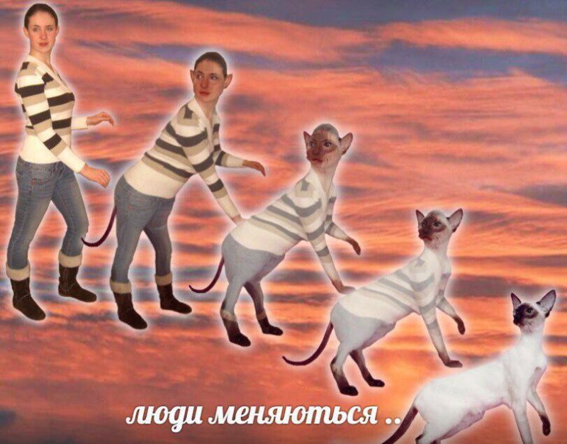 Перевоплощения из людей в животных