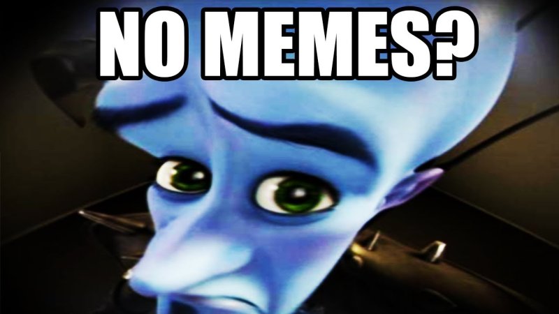 Мегамозг Мем no bitches