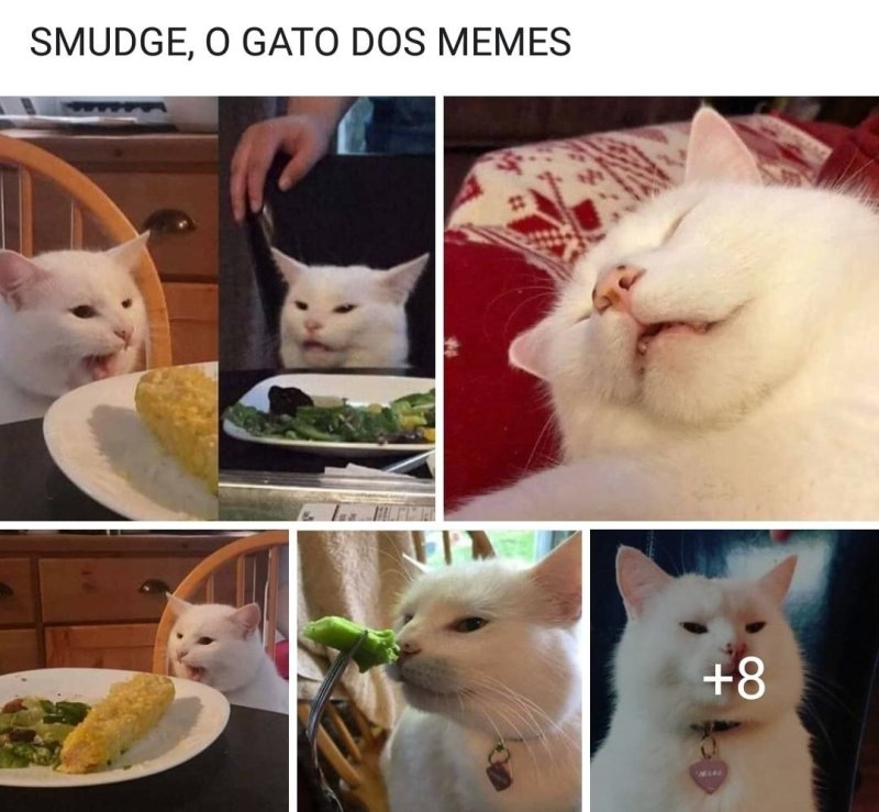 Мемный кот Смадж