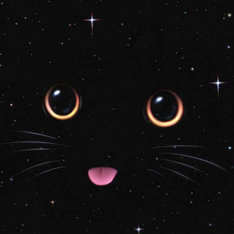 Черная кошка показывает язык