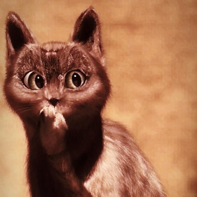 Кот из кота в сапогах оууу