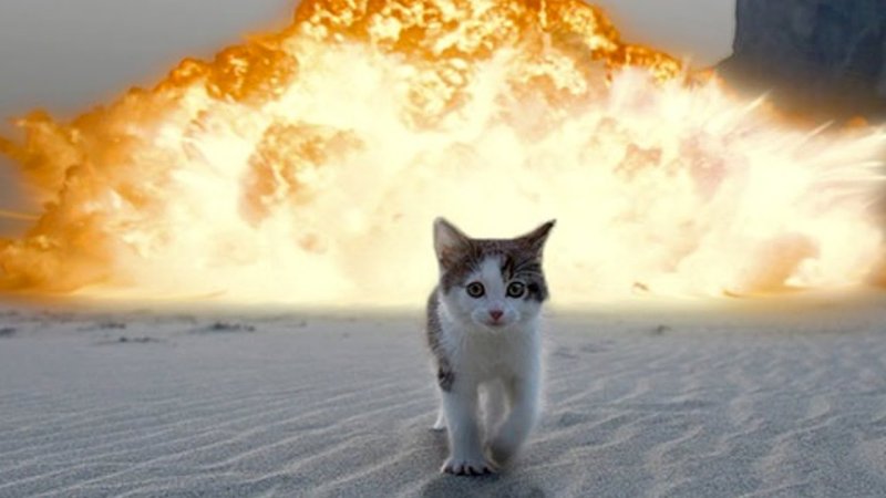 Кот на фоне взрыва