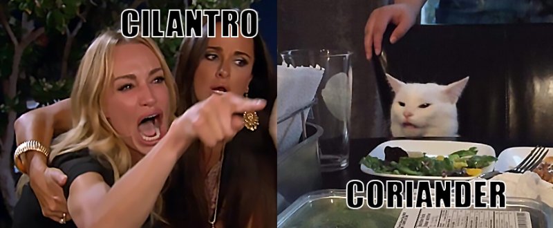 Мем с котом и девушками