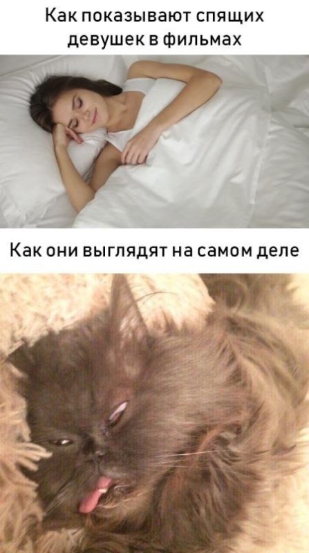 Прикольные картинки для поднятия настроения