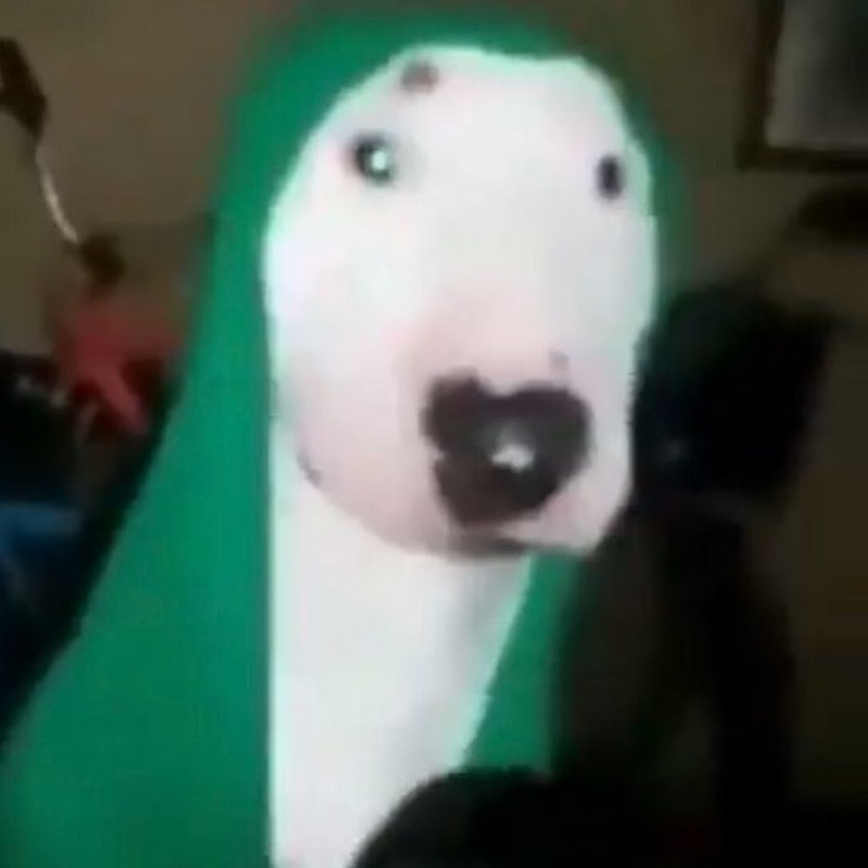 Собака со сковородкой