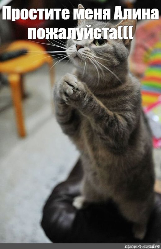 Извини меня пожалуйста