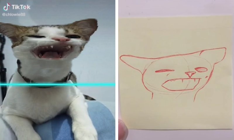 Смешные рисунки в дневник вместо фото